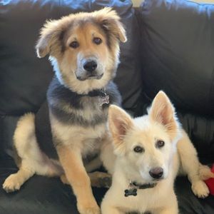 Meet your Posher, Anna marie